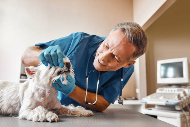 Best Pediatric Emergency Dentist in Freeport, TX